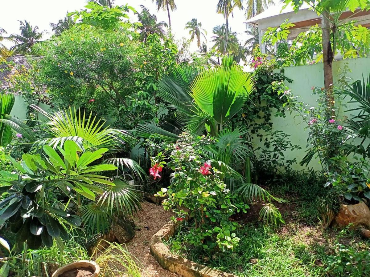 La Locanda Lodge - Apartment, 4 Double Rooms & Kitchen Near The Beach 江比阿 外观 照片
