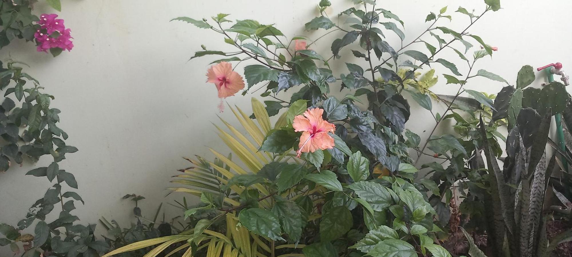 La Locanda Lodge - Apartment, 4 Double Rooms & Kitchen Near The Beach 江比阿 外观 照片