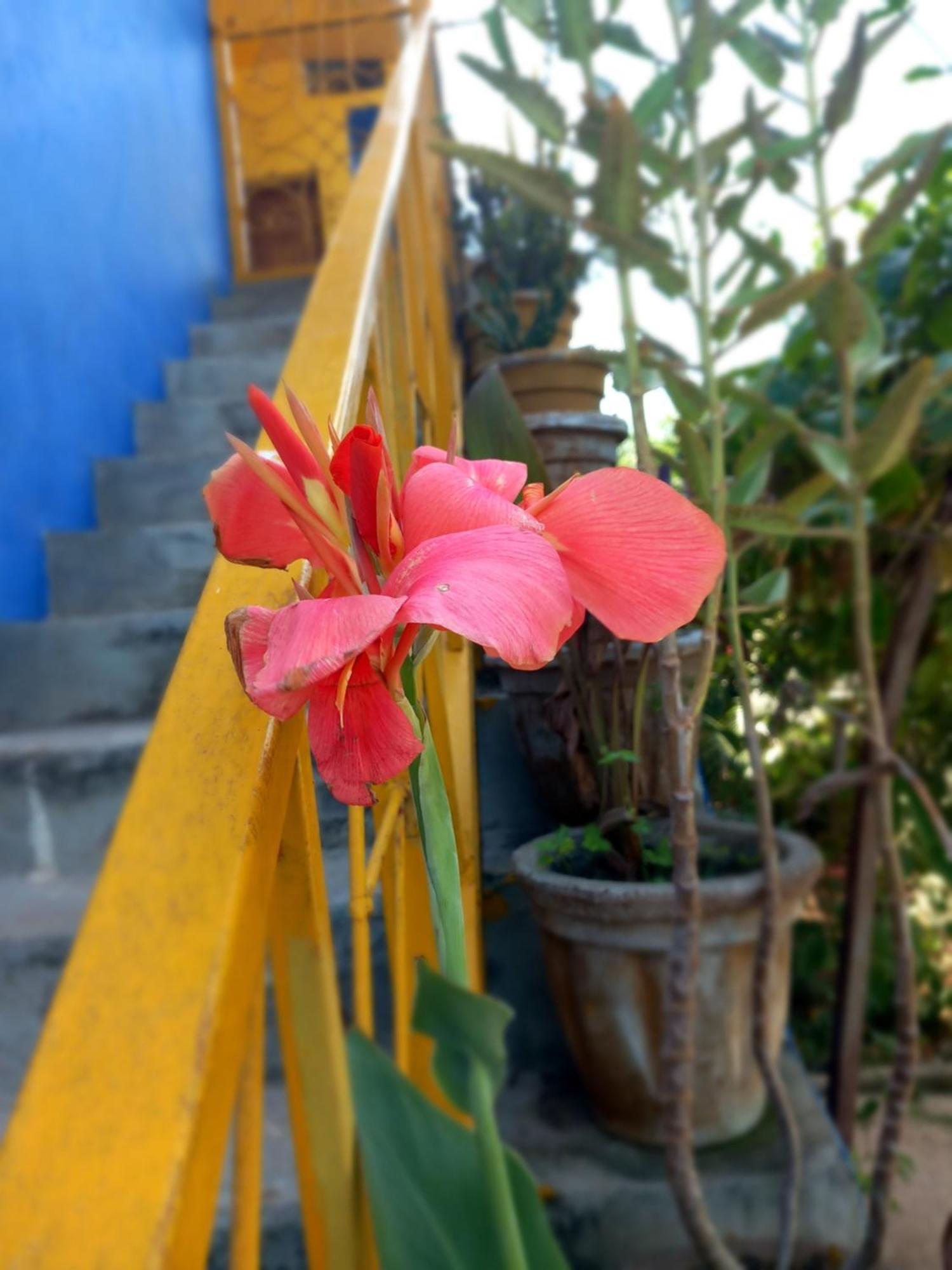 La Locanda Lodge - Apartment, 4 Double Rooms & Kitchen Near The Beach 江比阿 外观 照片