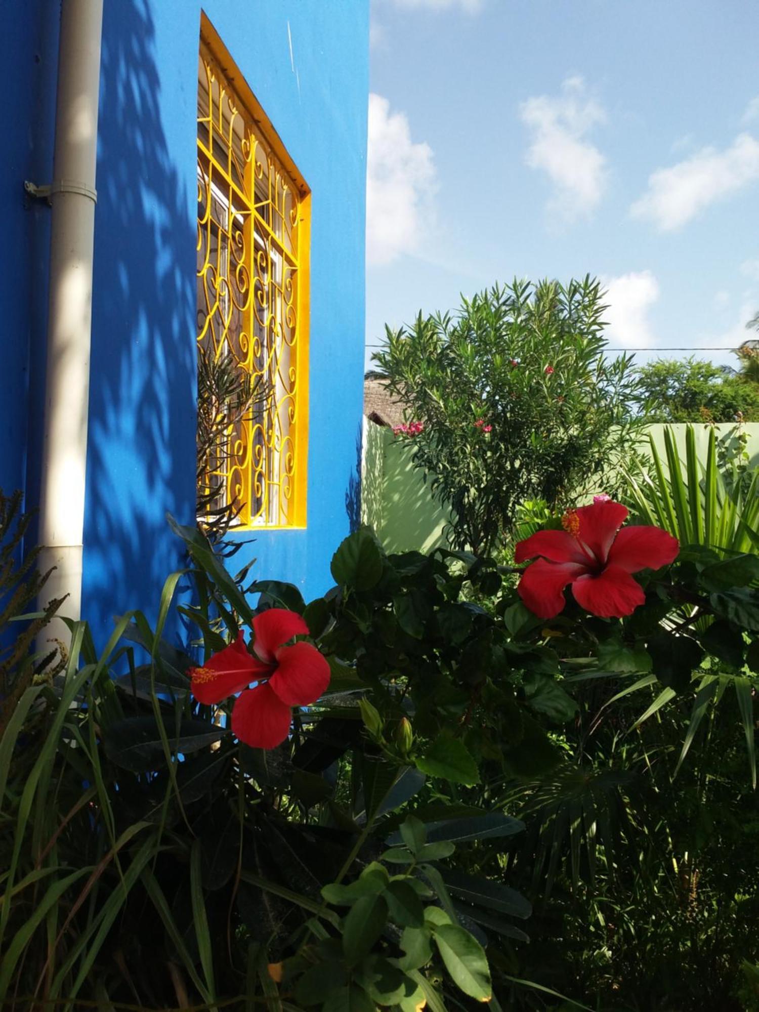 La Locanda Lodge - Apartment, 4 Double Rooms & Kitchen Near The Beach 江比阿 外观 照片