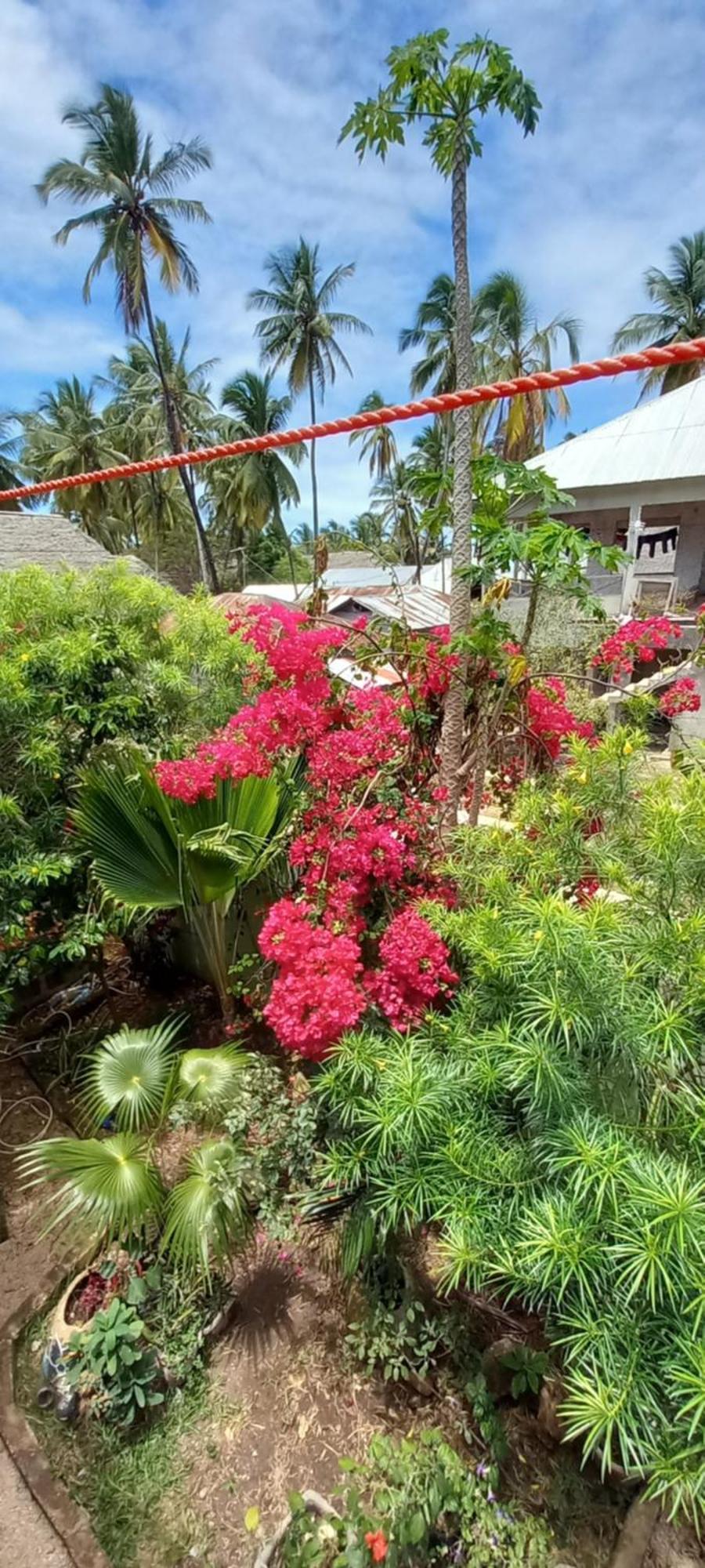 La Locanda Lodge - Apartment, 4 Double Rooms & Kitchen Near The Beach 江比阿 外观 照片