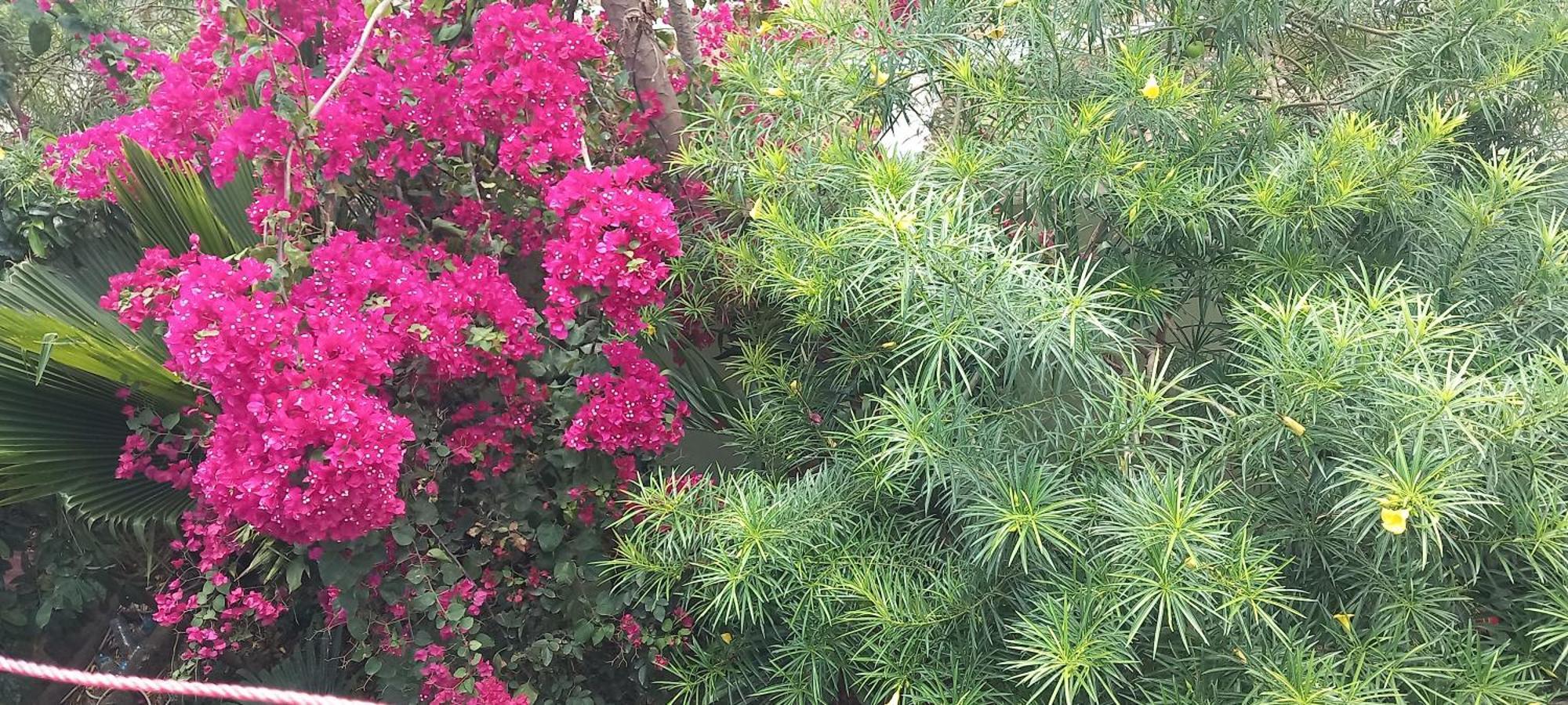 La Locanda Lodge - Apartment, 4 Double Rooms & Kitchen Near The Beach 江比阿 外观 照片